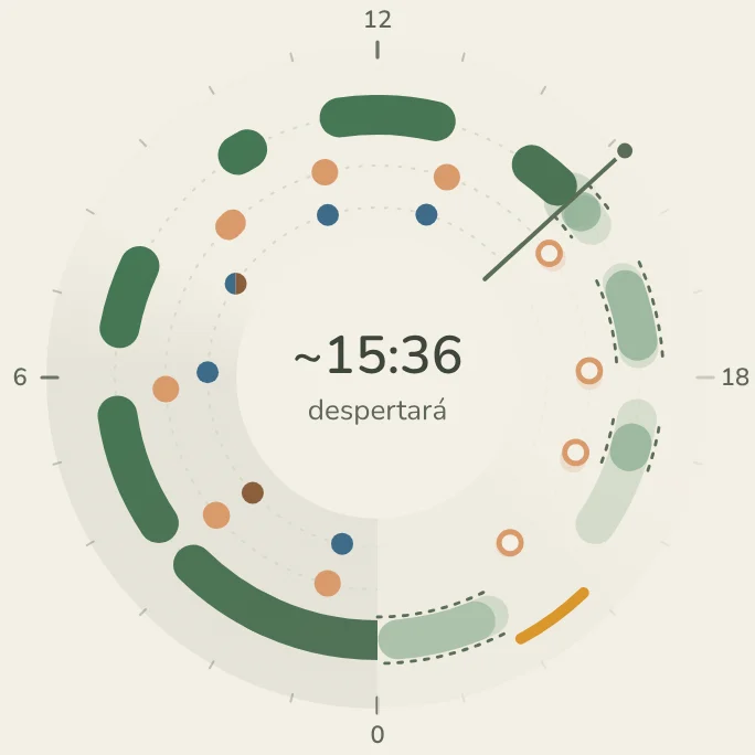 A las 15:10. Reloj del día: 11 h 39 min de sueño, 6 tomas y 6 pañales.